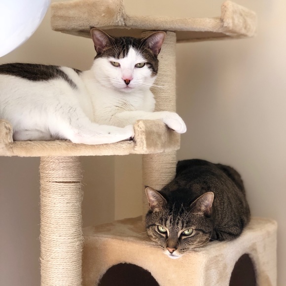 💞 MEET YOUR SELLER 💞 - Picture 6 of 8